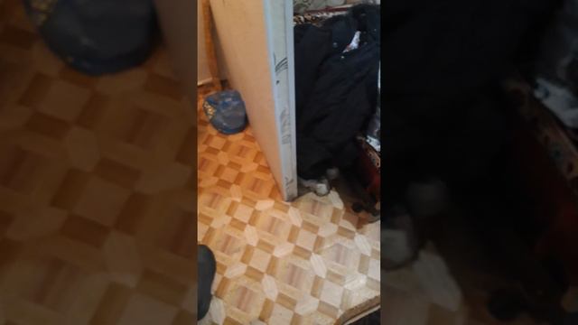 Казахстан кокшетау кр яр должна ли Горэлектосеть менять приборы учёта? смотреть онлайн