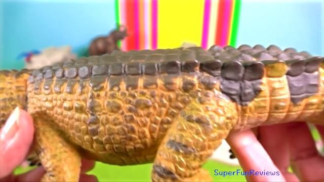 Indonesian Animals - NEW Komodo, Tiger, Elephant, Crocodile, Leopard, Pangolin, Tarsier Hornbill 13 смотреть онлайн