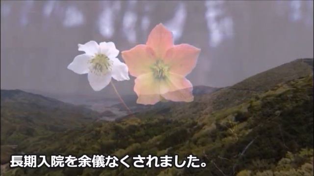 萬屋錦之介の結婚と離婚理由に耳を疑う…息子たちを溺愛し…経歴や晩年は… смотреть онлайн