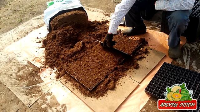 Забиваем торфом кассеты для рассады и сразу сажаем смотреть онлайн
