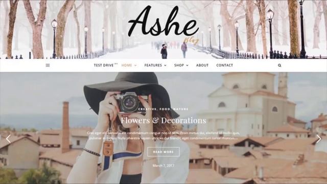 Kadence vs Ashe - Comparing great free WP-Themes смотреть онлайн