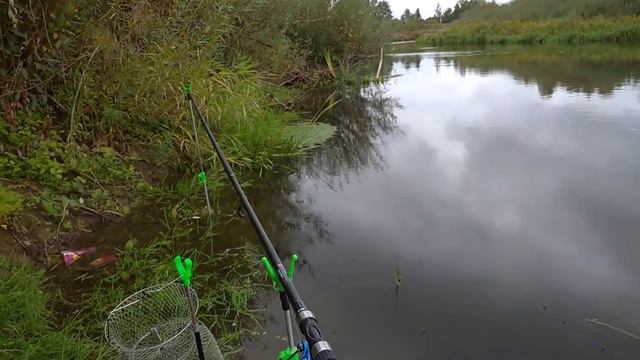 Рыбалка на реке Нёман смотреть онлайн