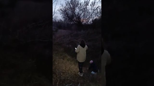 Наши Ноябрьские выходные в лесу?? смотреть онлайн