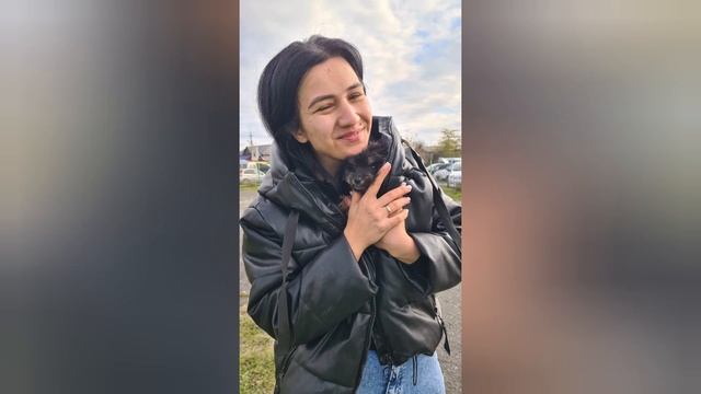Щенки и собачка Мира нашли семью) смотреть онлайн