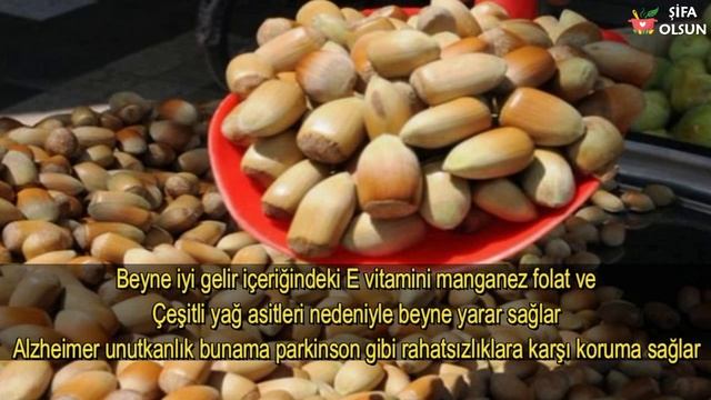 Fındığın Faydaları Nelerdir смотреть онлайн