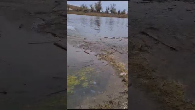 Рмз 550 смотреть онлайн