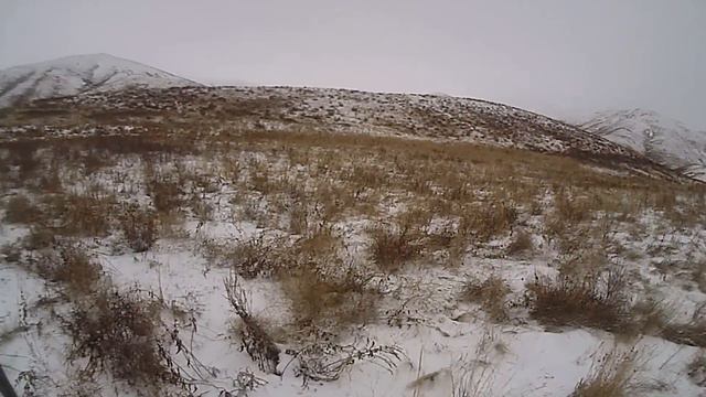 Охота на зайца ,какая она есть на самом деле! часть 2/Hunting the hare as it is part 2 смотреть онлайн