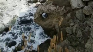 Дикие места в Крыму. Красивые безлюдные пляжи и бухты для отдыха на Азовском море.