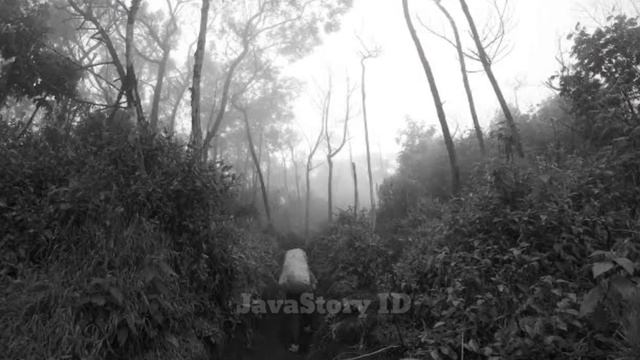 KISAH SERAM DIMENSI LAIN DI GUNUNG PENANGGUNGAN PART 5 || @JavaStoryID смотреть онлайн