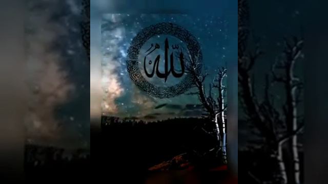 Haul Habib Ali Bin Ahmad Bin Zain Aidid