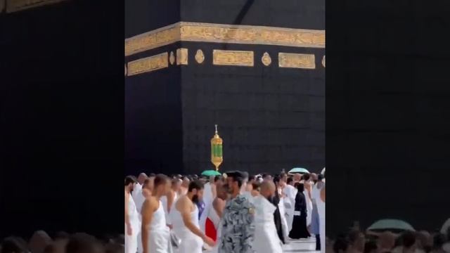 Хабиб совершает Умра (малый хадж) #Мекка смотреть онлайн