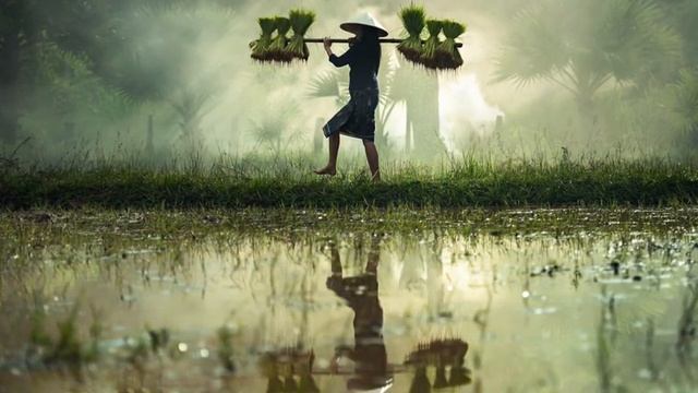 Чудесная Азия?Музыка Рейки? Гармонизация сознания ?Медитация ?Музыка для сна смотреть онлайн