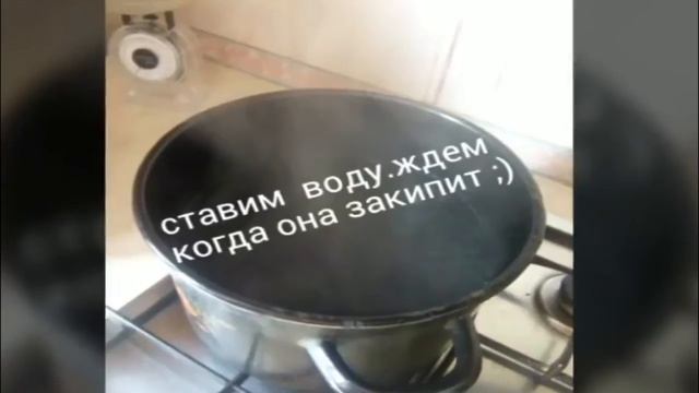 Животные в Зоопарках