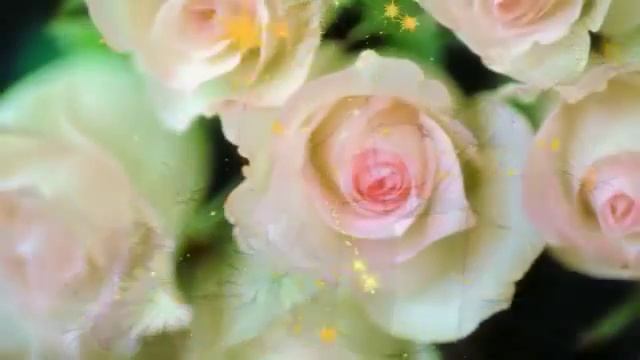 С днём рождения, моя дорогая подруга! смотреть онлайн