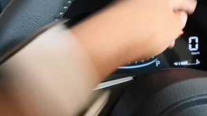 Toyota Raize Settings