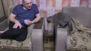 Мужской салат или Муськина радость