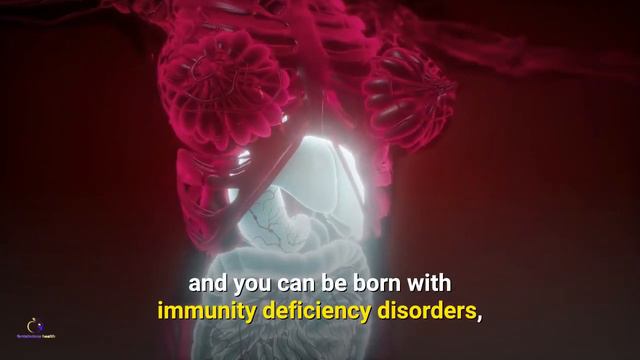 Symptoms Of Weak Immune System смотреть онлайн