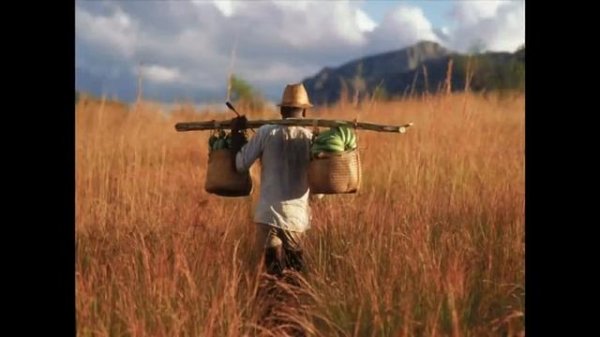 Life lessons from an ad man | Rory Sutherland