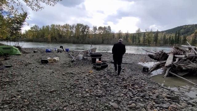 NEW CANADIAN GOLD RUSH - PERSISTENCE AND PLANNING PAYOFF! смотреть онлайн