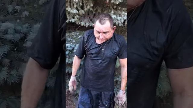Хамстер комбат поджигал поля в ЛНР смотреть онлайн
