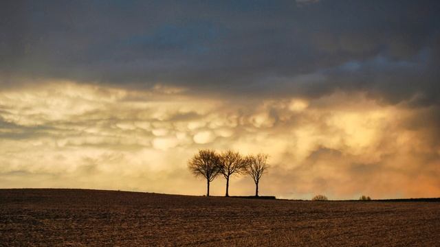 Fotograferen met de Nikon D60 in 2023 смотреть онлайн