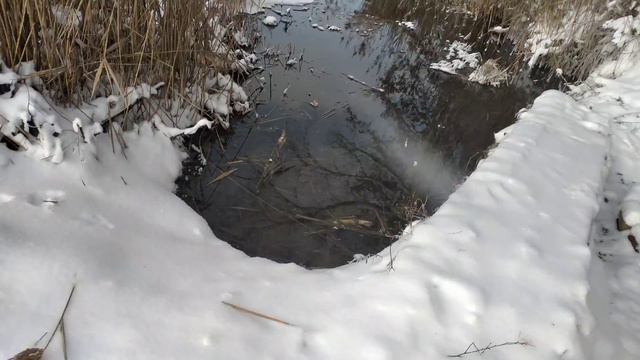 К источнику не только за живой водой!!! смотреть онлайн