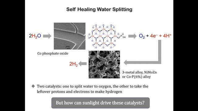 Solar Fuels and Food from Thin Air: The Bionic Leaf смотреть онлайн