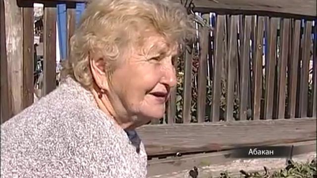 В Абакане питомцем обычной семьи стал коршун смотреть онлайн