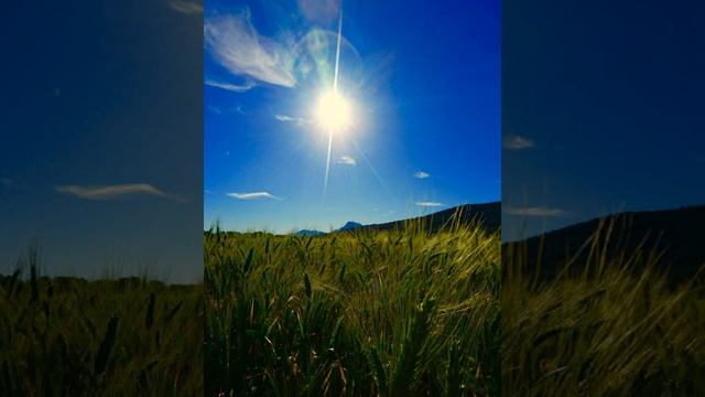 Притча о душах. смотреть онлайн