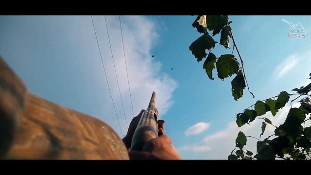 Охота на вяхиря с духовыми манками 2022 смотреть онлайн