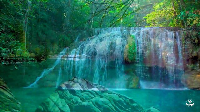 Beautiful Relaxing Music - Stop Overthinking, Stress Relief Music, Sleep Music, Calming Music смотреть онлайн