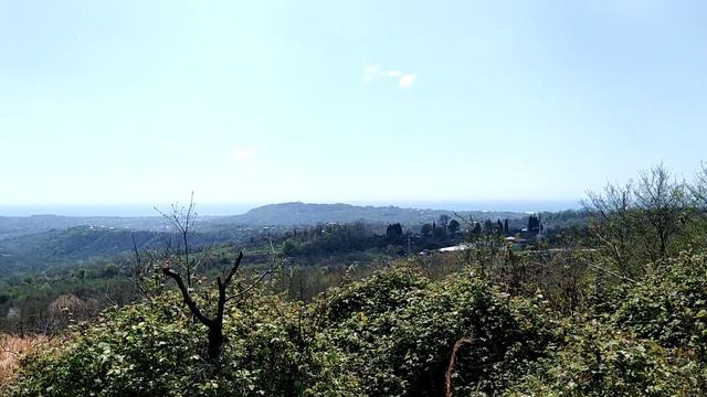 100сот в Адлере. Брать или нет? смотреть онлайн