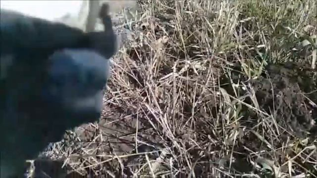 Коп с металлоискателем по заброшенным дачам смотреть онлайн