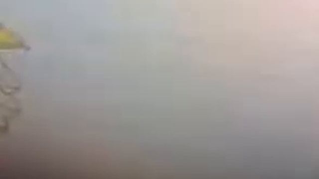 Аниме Клип смотреть онлайн