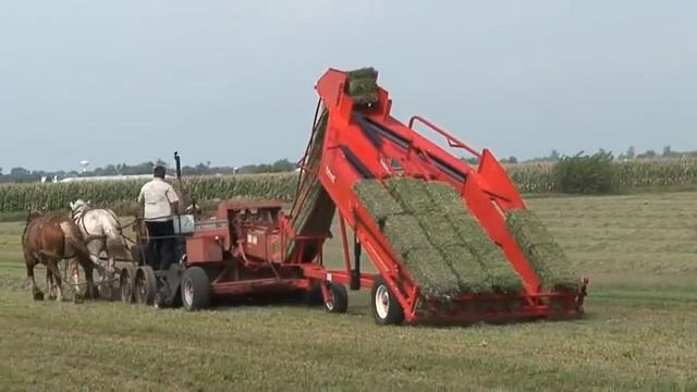 Конный привод вместо небольшого трактора. Конный собиратеоль тюков. смотреть онлайн