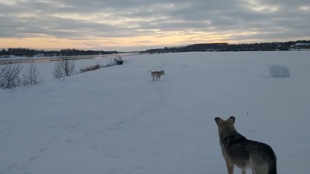 В деревне перед Рождеством смотреть онлайн