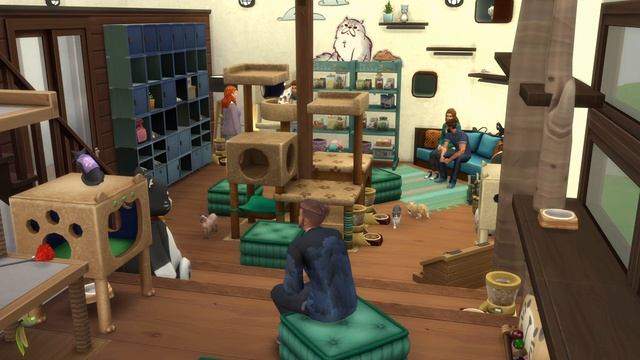 CAT CAFE - café | Britechester | THE SIMS 4 | No CC смотреть онлайн