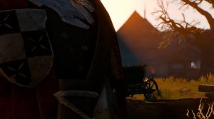 witcher3 Велен Покинутая башня История Цири Из тени