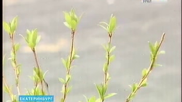 СГТРК, жара в квартирах смотреть онлайн