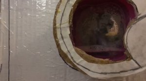 Toy Indesit WIUL103 washing machine rinsing