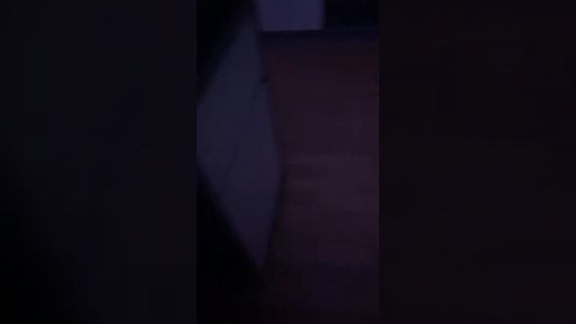 МНЕ 12 ЛЕТ СТРИМ С МИЛАНОЙ И ДЭНОМ смотреть онлайн