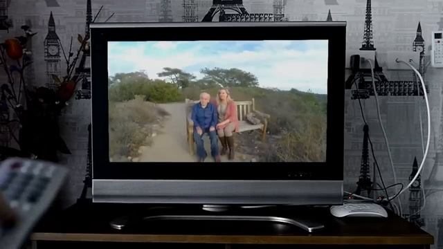 Памятник от Пугачевой за 2 млн.рублей на могиле композитора Владимира Шаинского / Троекуровское 202 смотреть онлайн