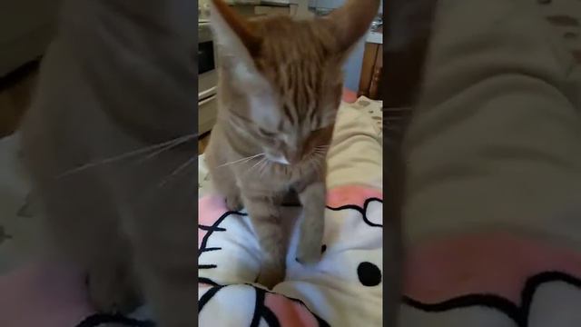 Массажистка на дому 😅 смотреть онлайн