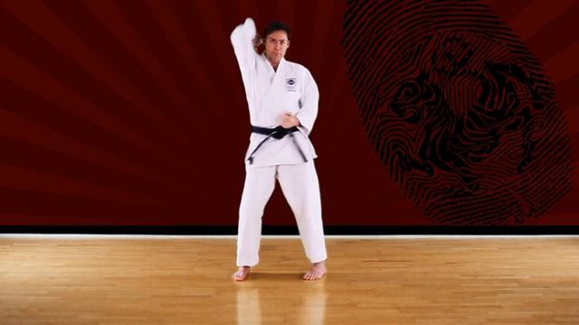 Otoshi empi - Basic - Online education - Shotokan Karate-Do JKA смотреть онлайн