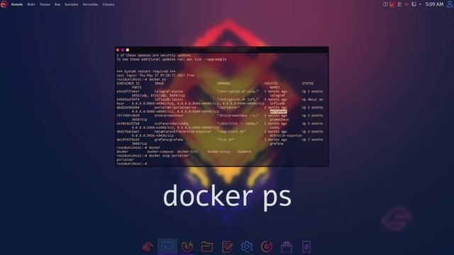 Обновляй Portainer правильно | UnixHost | Обновляем Portainer Docker