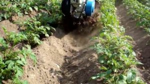 Нева мк 100 04   окучивание