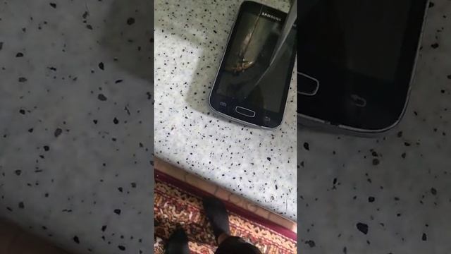 разбивание телефона смотреть онлайн