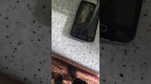 разбивание телефона