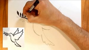 Как нарисовать голубя / рисунки для срисовки / how to draw a dove.