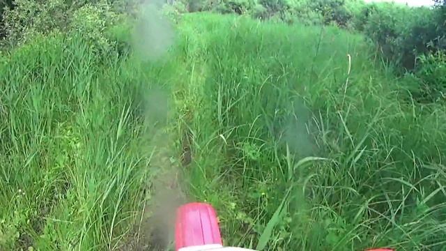 (11) По следам Сусанина смотреть онлайн